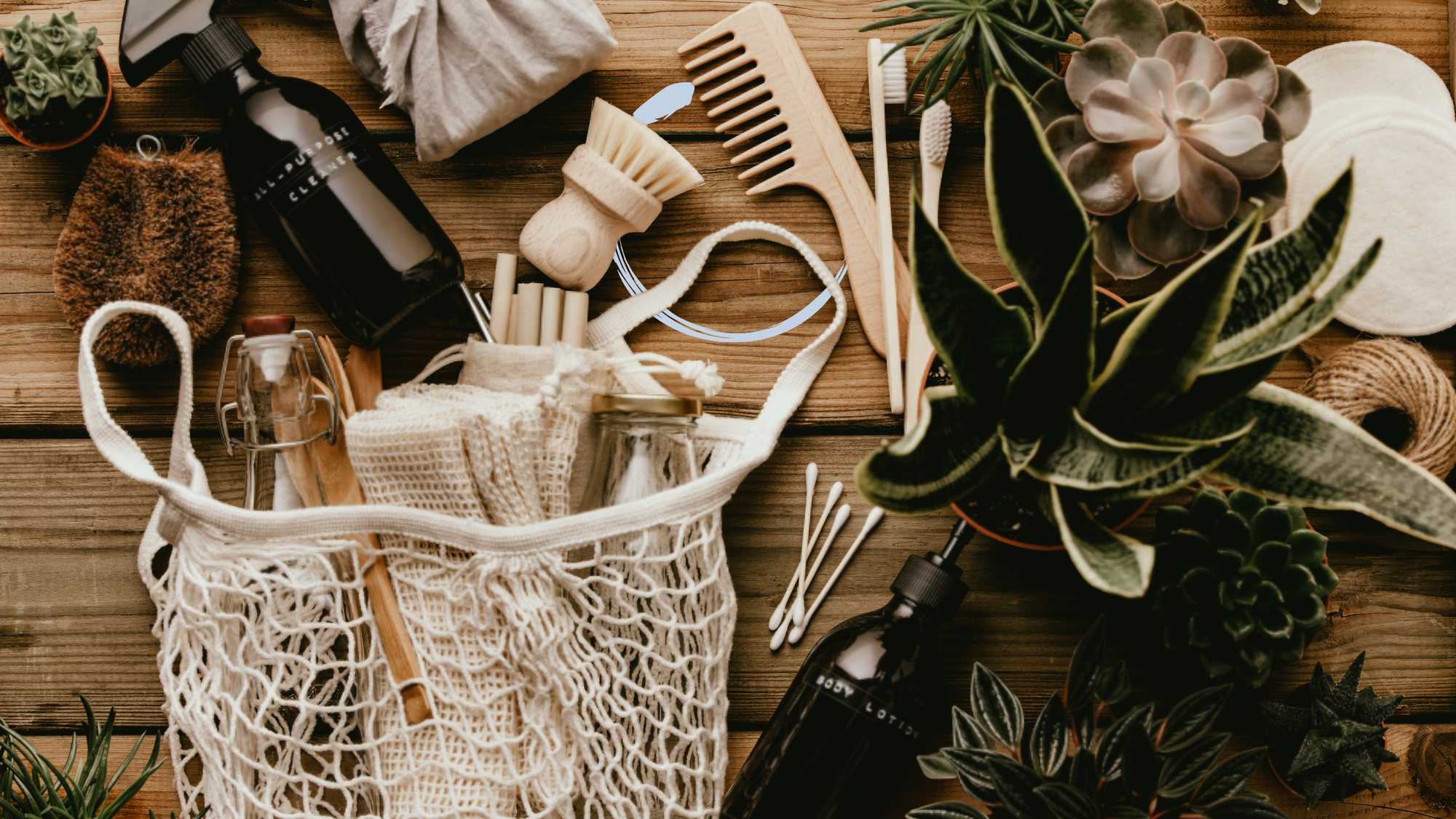 Beleza Sustentável e “Beauty as Health”: Cuida de Ti e do Planeta